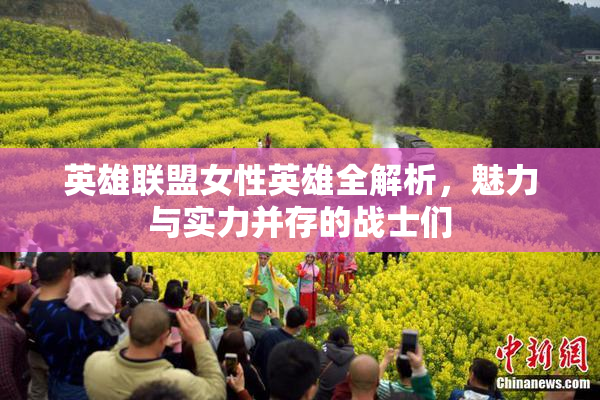 英雄联盟女性英雄全解析，魅力与实力并存的战士们