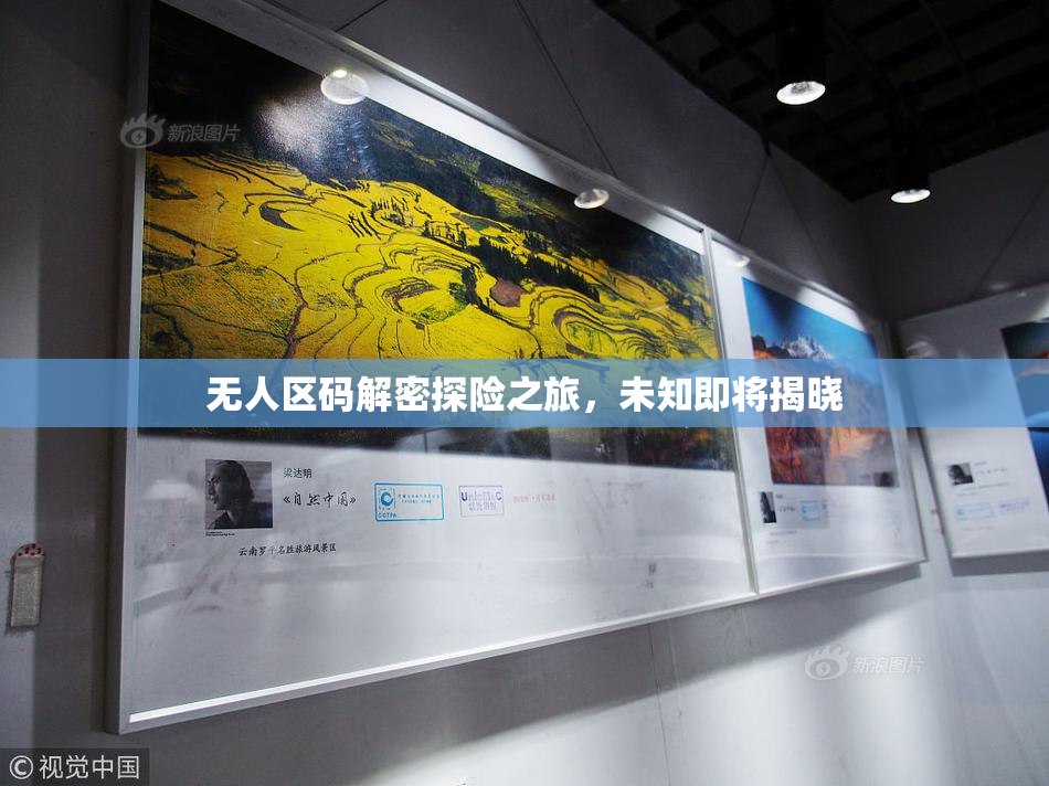 无人区码解密探险之旅，未知即将揭晓