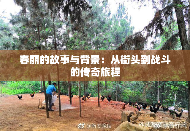 春丽的故事与背景：从街头到战斗的传奇旅程