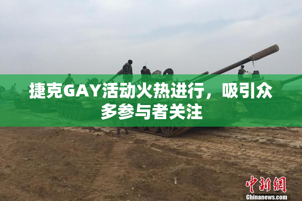 捷克GAY活动火热进行，吸引众多参与者关注