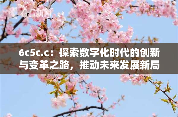 6c5c.c：探索数字化时代的创新与变革之路，推动未来发展新局面