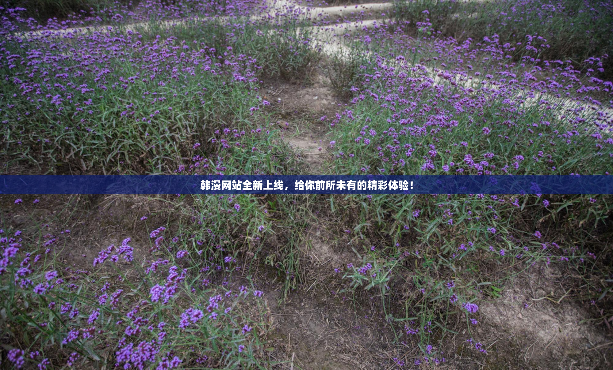 韩漫网站全新上线，给你前所未有的精彩体验！