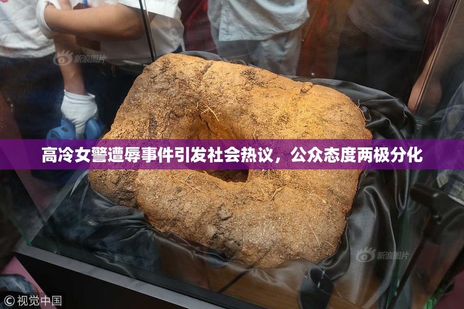 高冷女警遭辱事件引发社会热议，公众态度两极分化
