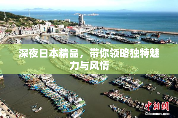 深夜日本精品，带你领略独特魅力与风情