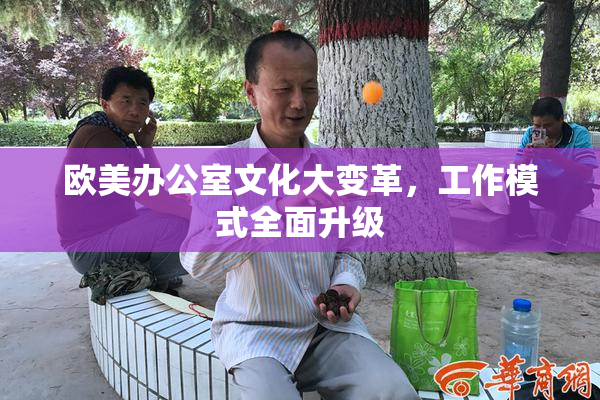 欧美办公室文化大变革，工作模式全面升级