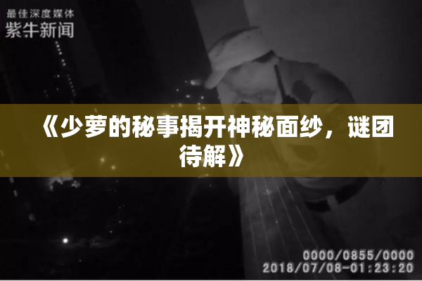 《少萝的秘事揭开神秘面纱，谜团待解》