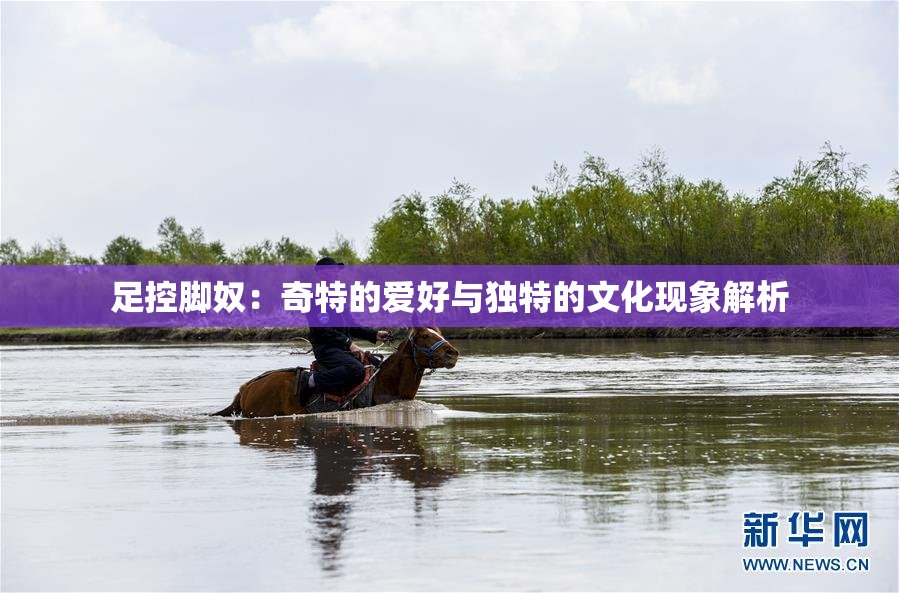 足控脚奴：奇特的爱好与独特的文化现象解析
