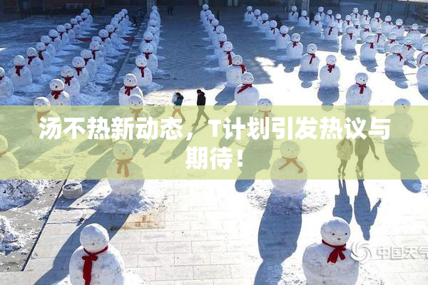 汤不热新动态，T计划引发热议与期待！