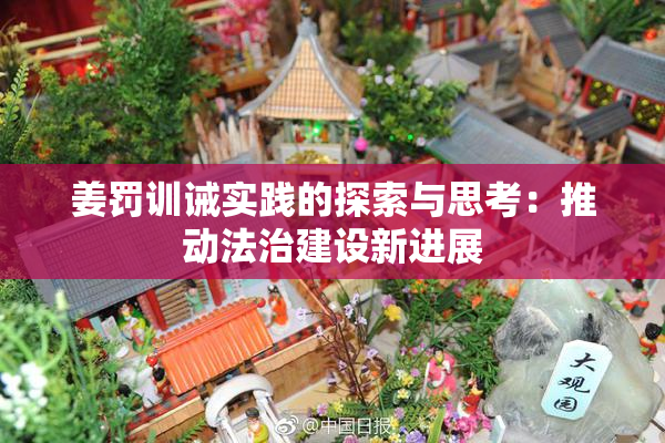 姜罚训诫实践的探索与思考：推动法治建设新进展