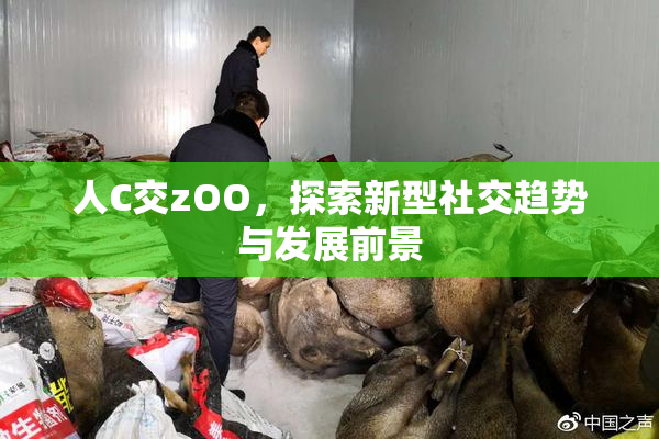 人C交zOO，探索新型社交趋势与发展前景