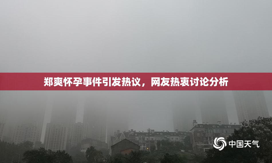 郑爽怀孕事件引发热议，网友热衷讨论分析