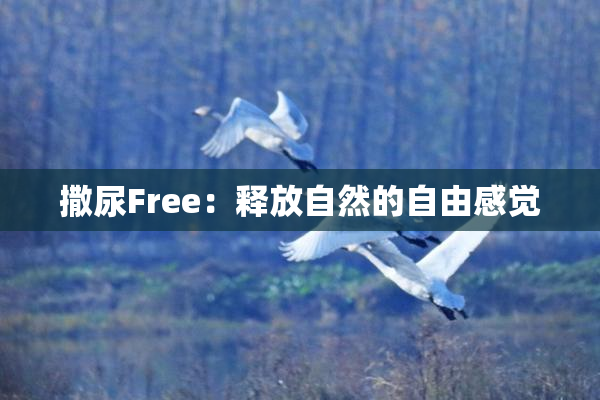 撒尿Free：释放自然的自由感觉