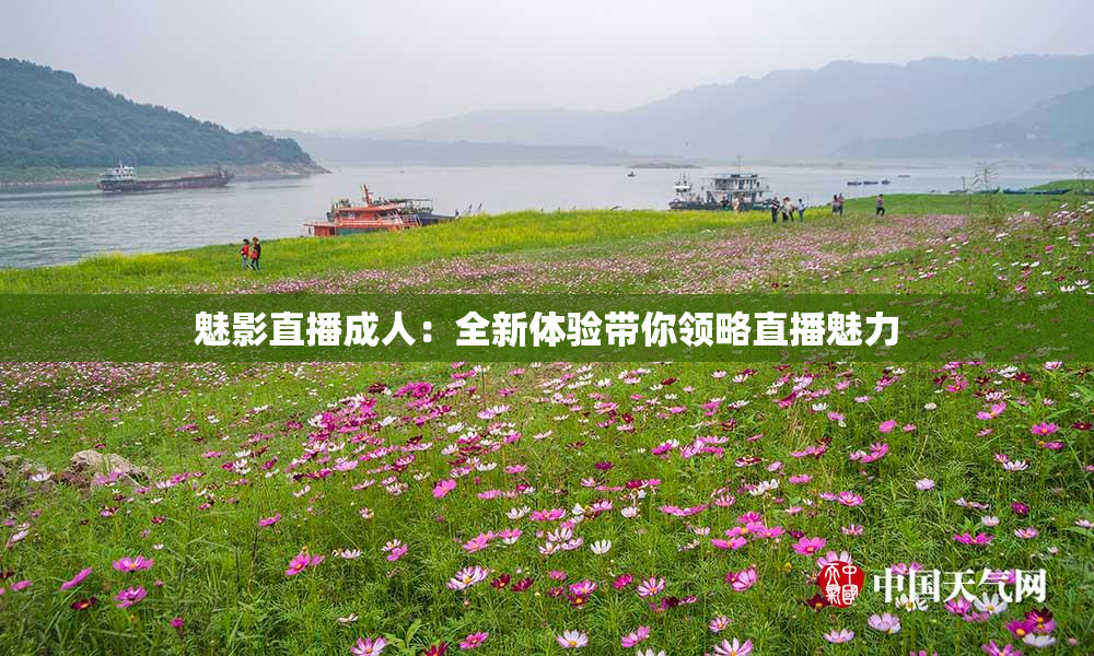 魅影直播成人：全新体验带你领略直播魅力