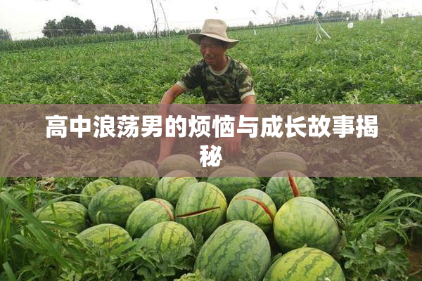 高中浪荡男的烦恼与成长故事揭秘
