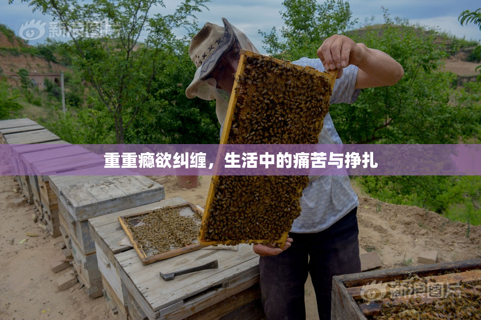 重重瘾欲纠缠，生活中的痛苦与挣扎