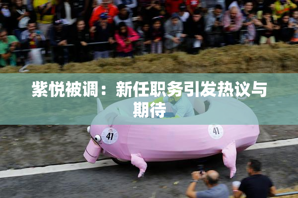 紫悦被调：新任职务引发热议与期待