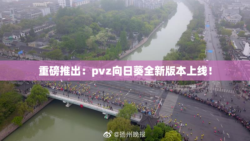 重磅推出：pvz向日葵全新版本上线！