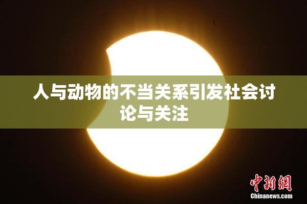 人与动物的不当关系引发社会讨论与关注