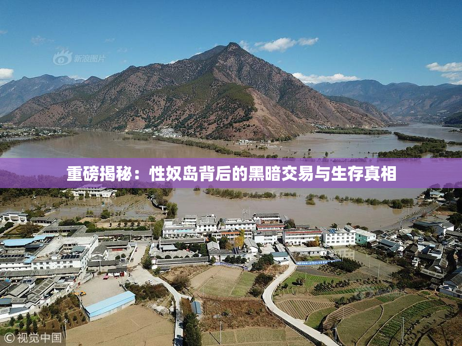 重磅揭秘：性奴岛背后的黑暗交易与生存真相