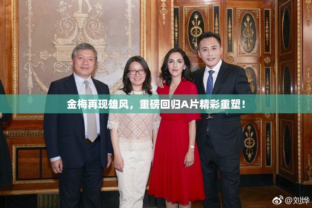 金梅再现雄风，重磅回归A片精彩重塑！