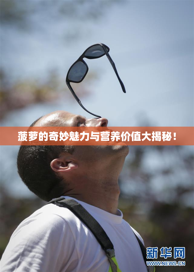 菠萝的奇妙魅力与营养价值大揭秘！