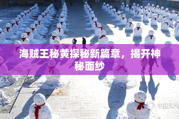 海贼王秘黄探秘新篇章，揭开神秘面纱