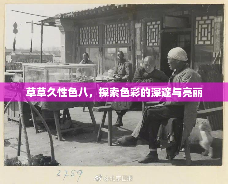 草草久性色八，探索色彩的深邃与亮丽