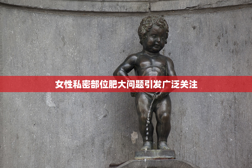 女性私密部位肥大问题引发广泛关注