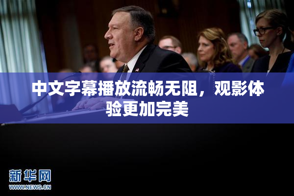 中文字幕播放流畅无阻，观影体验更加完美