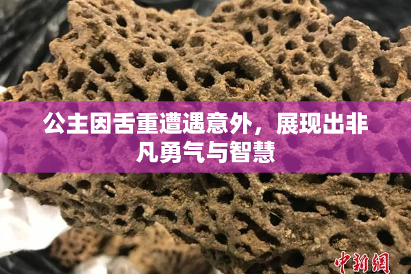 公主因舌重遭遇意外，展现出非凡勇气与智慧