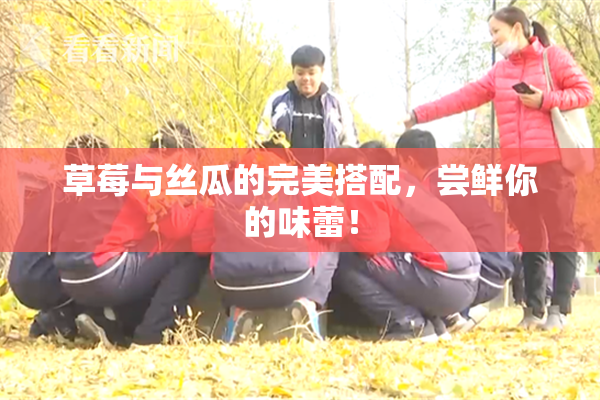 草莓与丝瓜的完美搭配，尝鲜你的味蕾！