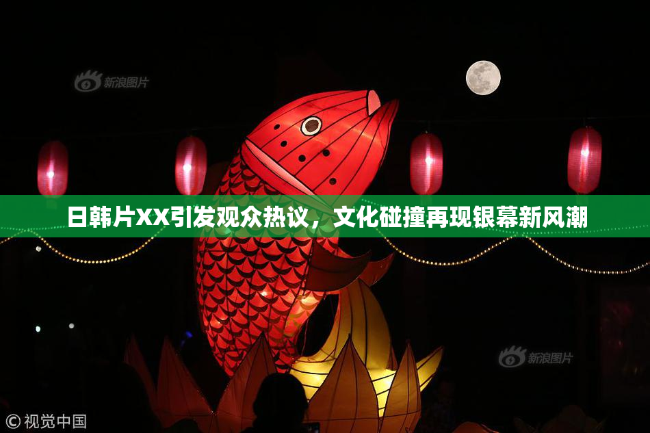 日韩片XX引发观众热议，文化碰撞再现银幕新风潮