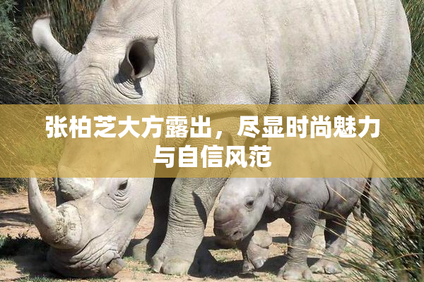 张柏芝大方露出，尽显时尚魅力与自信风范
