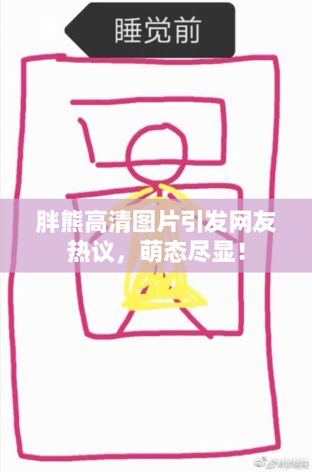 胖熊高清图片引发网友热议，萌态尽显！