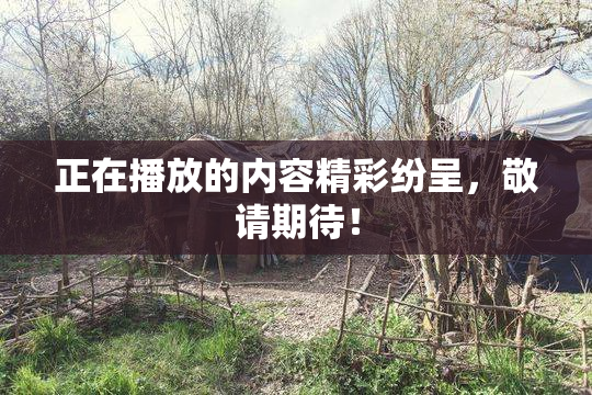 正在播放的内容精彩纷呈，敬请期待！