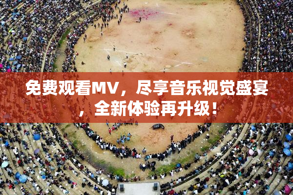 免费观看MV，尽享音乐视觉盛宴，全新体验再升级！