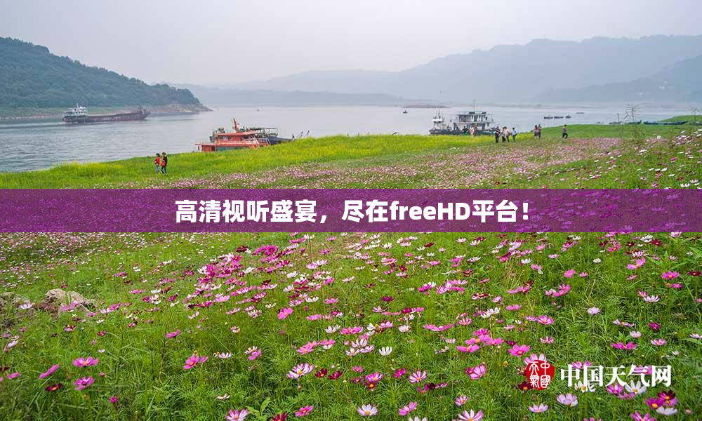 高清视听盛宴，尽在freeHD平台！