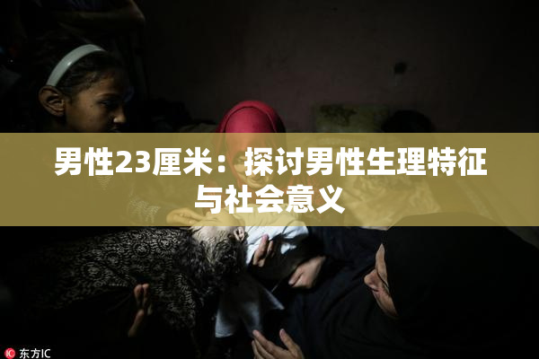 男性23厘米：探讨男性生理特征与社会意义
