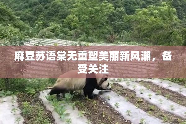 麻豆苏语棠无重塑美丽新风潮，备受关注