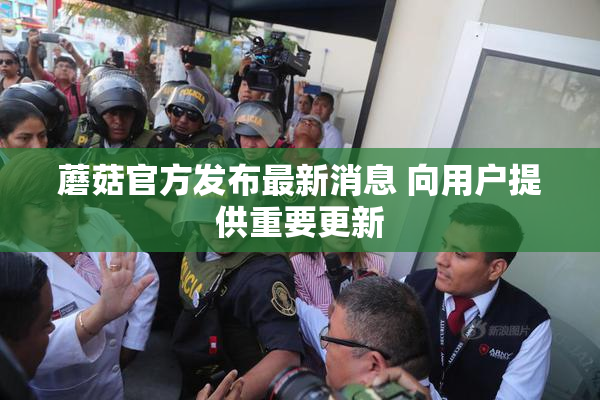蘑菇官方发布最新消息 向用户提供重要更新