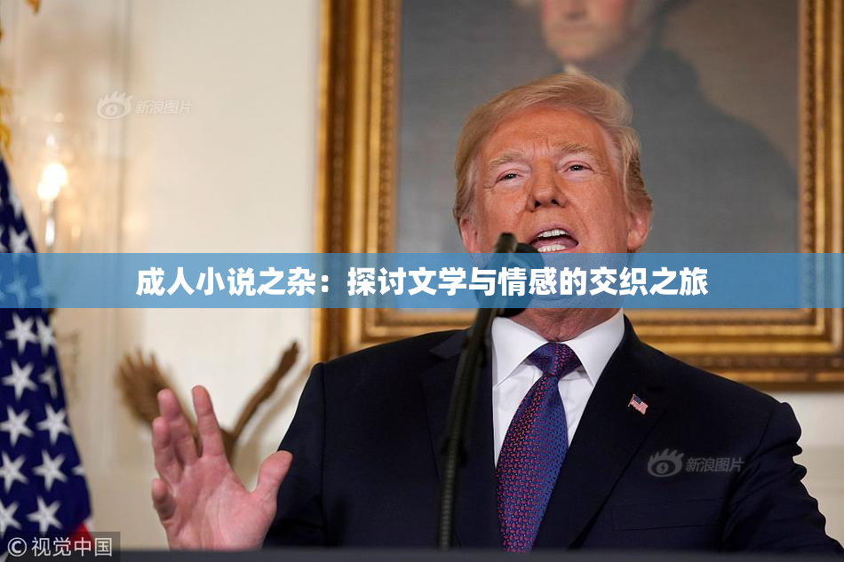 成人小说之杂：探讨文学与情感的交织之旅