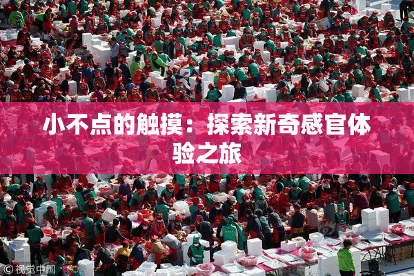 小不点的触摸：探索新奇感官体验之旅