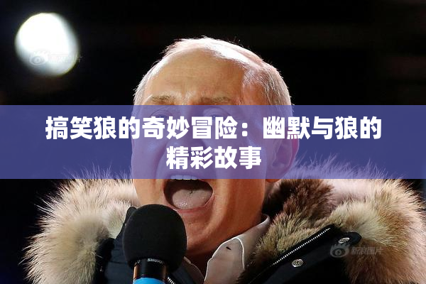 搞笑狼的奇妙冒险：幽默与狼的精彩故事
