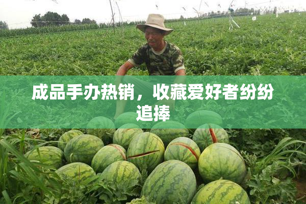 成品手办热销，收藏爱好者纷纷追捧