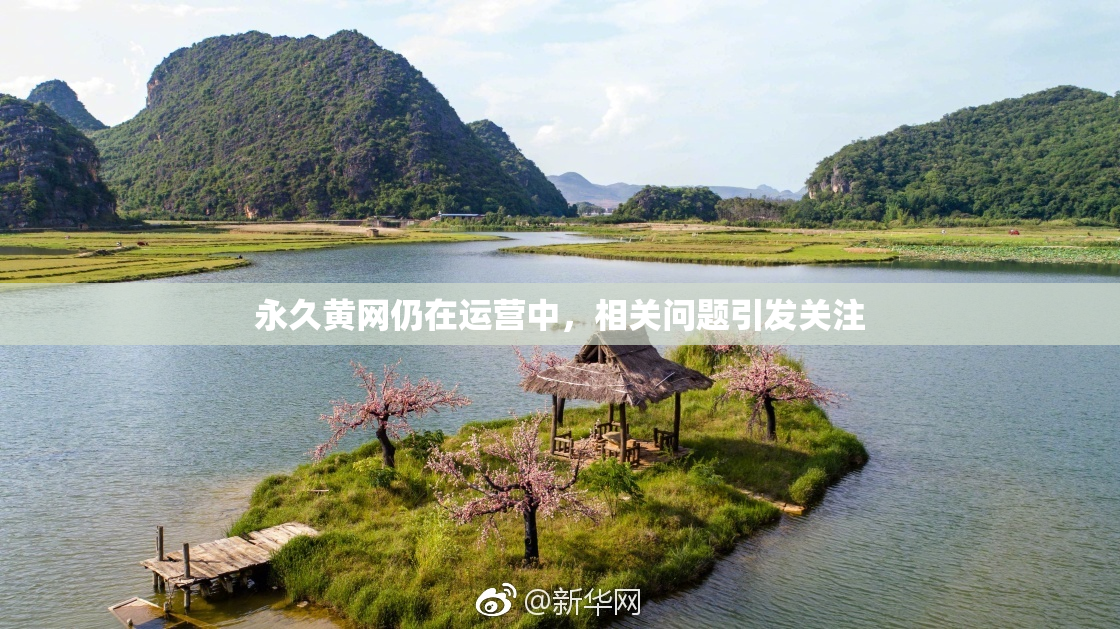 永久黄网仍在运营中，相关问题引发关注