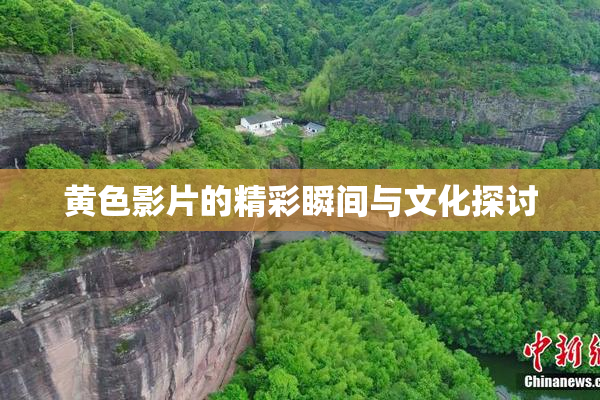 黄色影片的精彩瞬间与文化探讨