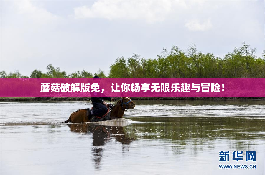 蘑菇破解版免，让你畅享无限乐趣与冒险！
