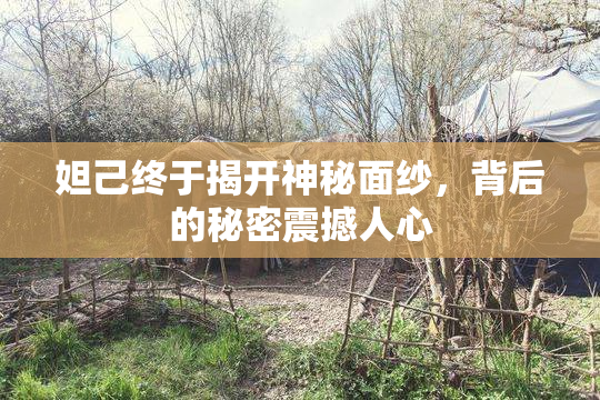 妲己终于揭开神秘面纱，背后的秘密震撼人心