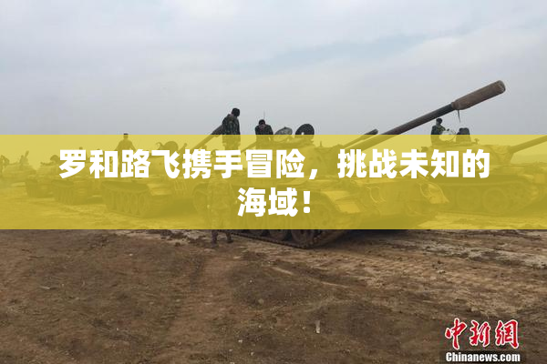 罗和路飞携手冒险，挑战未知的海域！