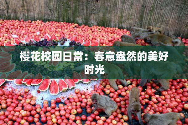 樱花校园日常：春意盎然的美好时光